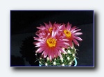 Klik for forst�rrelse
